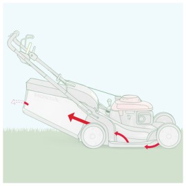 honda_cesto honda_cesto